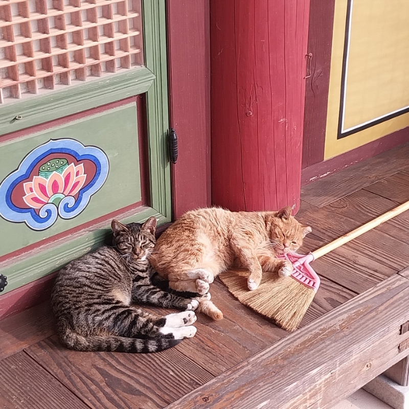 [크기변환]20251113_100343.jpg 이미지