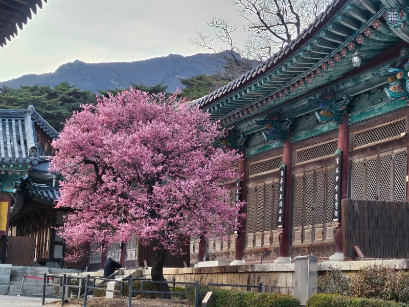 KakaoTalk_20260224_153528351_04.jpg 이미지